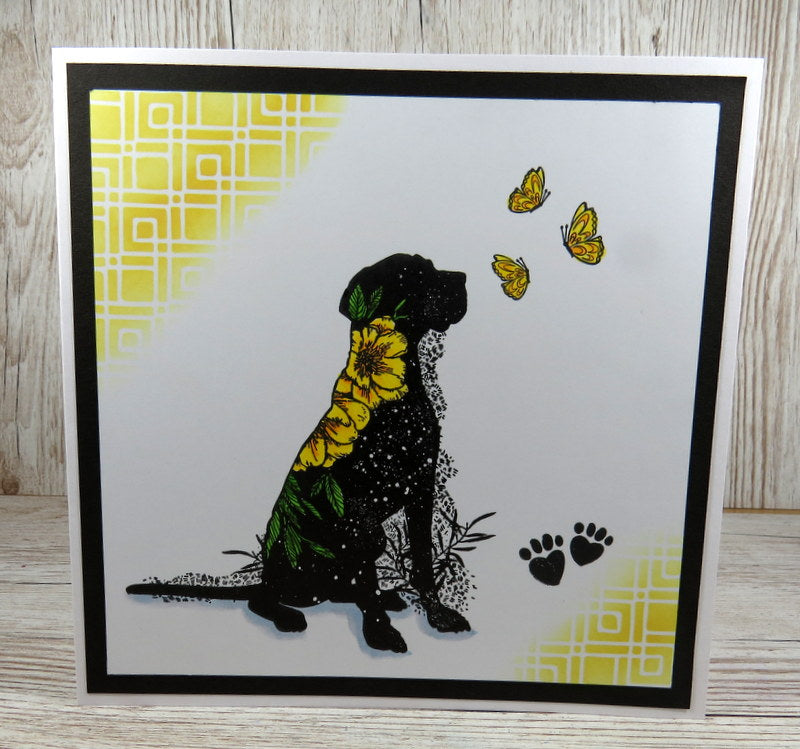 TP-862 - A5 Clear Stamp Set - Canine Dreams