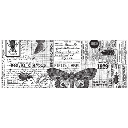 Idea-ology Tim Holtz Collage Paper 6"X6yds - Entomology