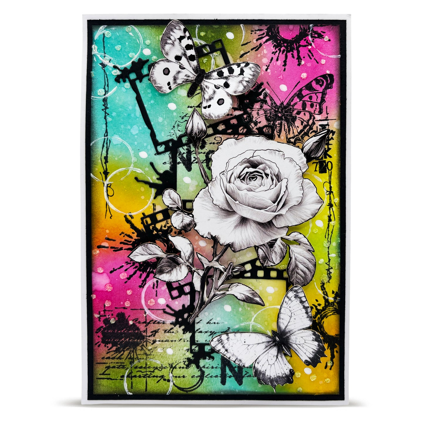 Autour de Mwa Through the Lens Cutting Dies Bundle