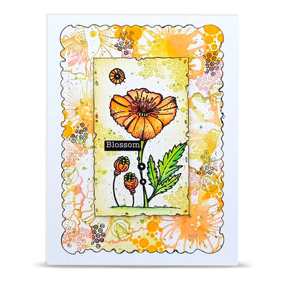 July 2026 Complete Collection (Save £80) + Free Poster & Bio Cards