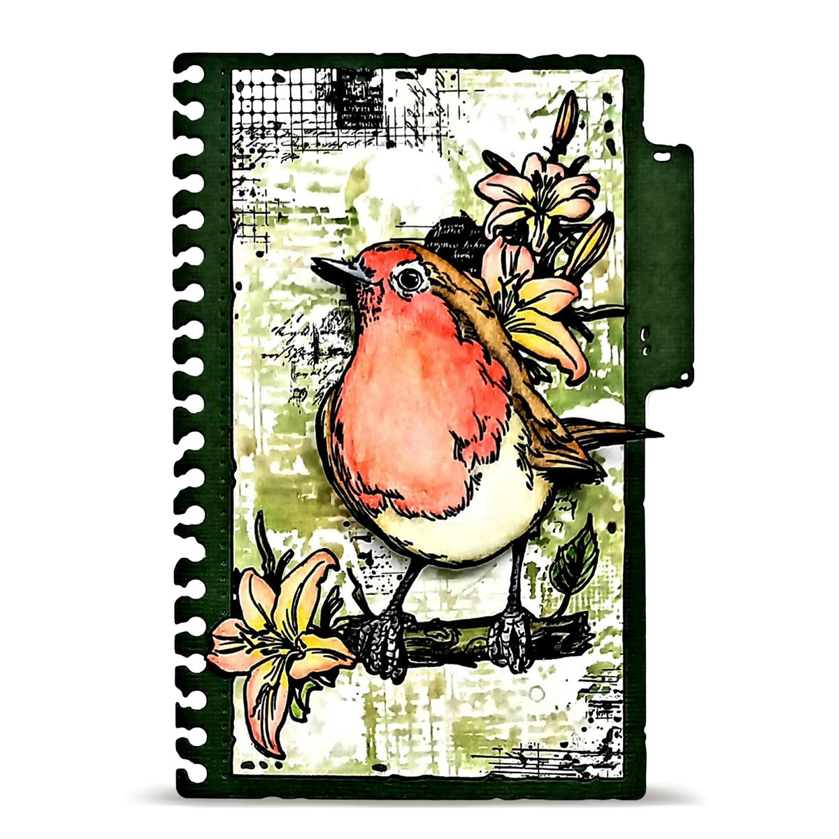 TP-1349 - A6 Stamp Set - Robin Sprout