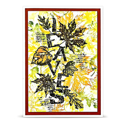 September 2026 Complete Collection + Free Poster & Bio Cards