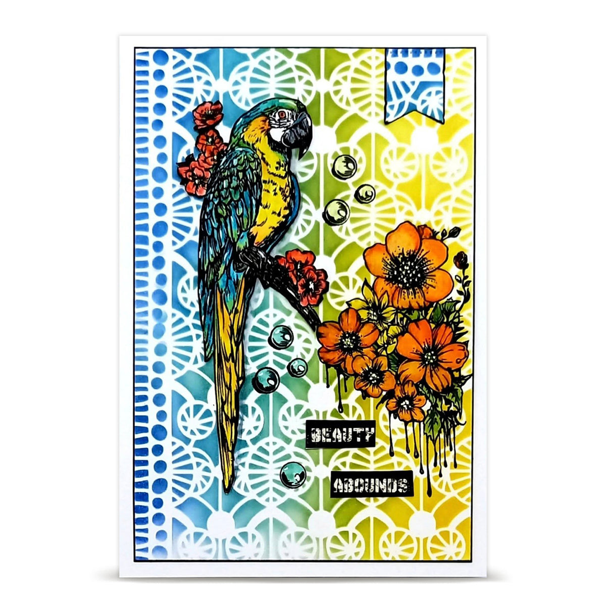 TP-1348 - A6 Stamp Set - Parrot Song