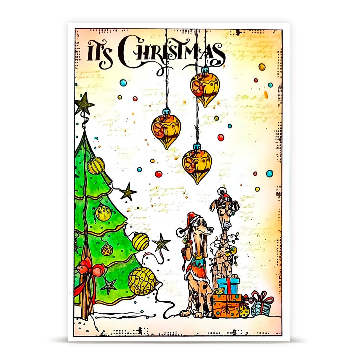 TP-1471 - A6 Stamp Set - Floating Fir