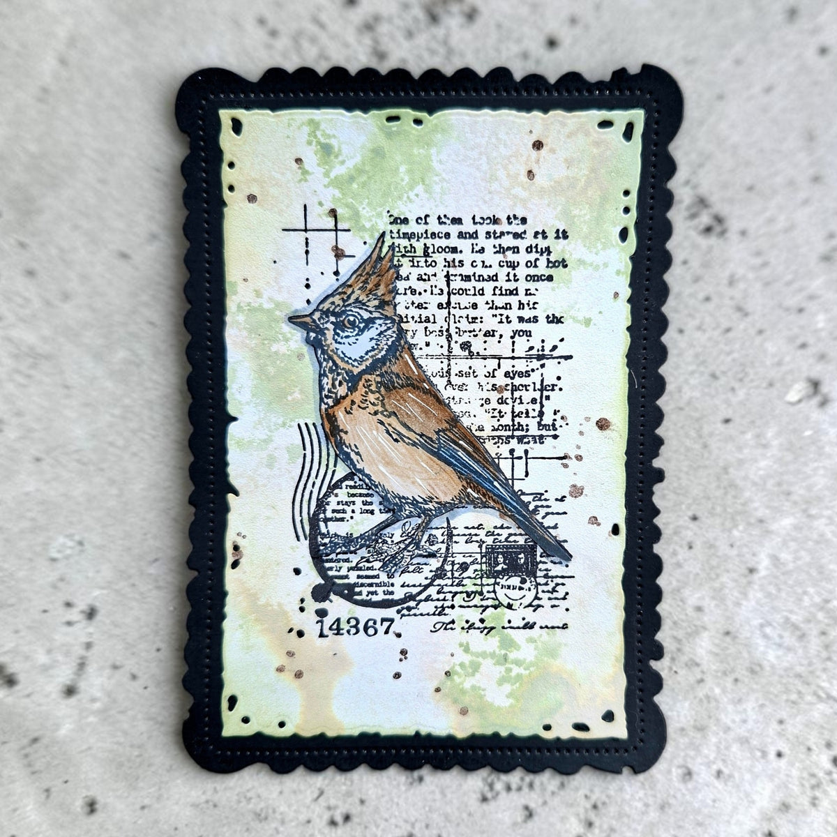 TP-1352 - A7 Stamp Set - Cardinal Stare