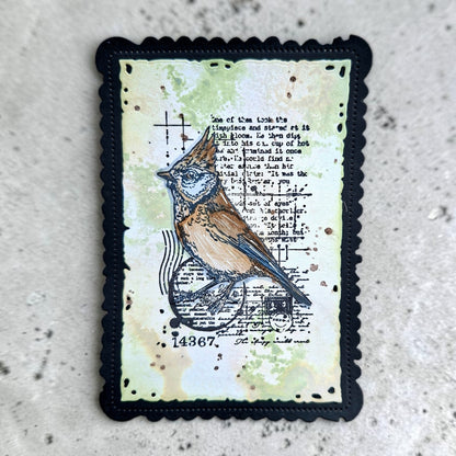 Autour de Mwa Hearted Nature Stamp Bundle