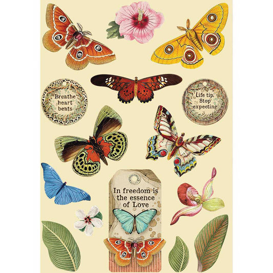 Stamperia A5 Coloured Frame - Amazonia Butterfly