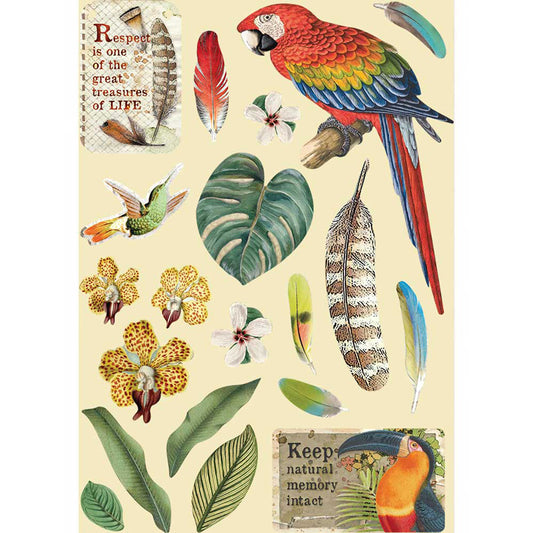 Stamperia A5 Coloured Frame - Amazonia Parrot