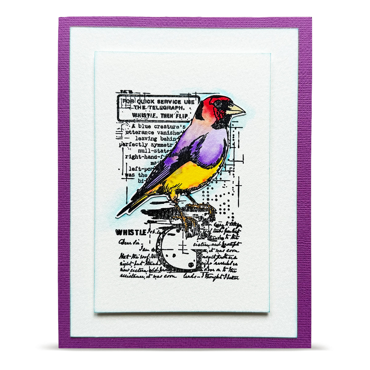 TP-1350 - A7 Stamp Set - Whistling Finch