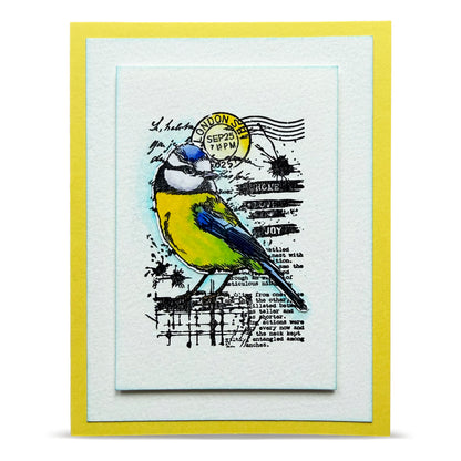 TP-1351 - A7 Stamp Set - Hearted Tit
