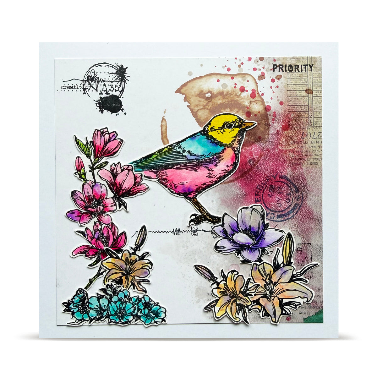 TP-1349 - A6 Stamp Set - Robin Sprout