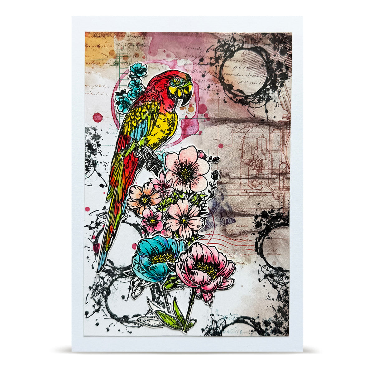 TP-1348 - A6 Stamp Set - Parrot Song