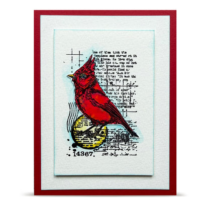 Autour de Mwa Hearted Nature Stamp Bundle