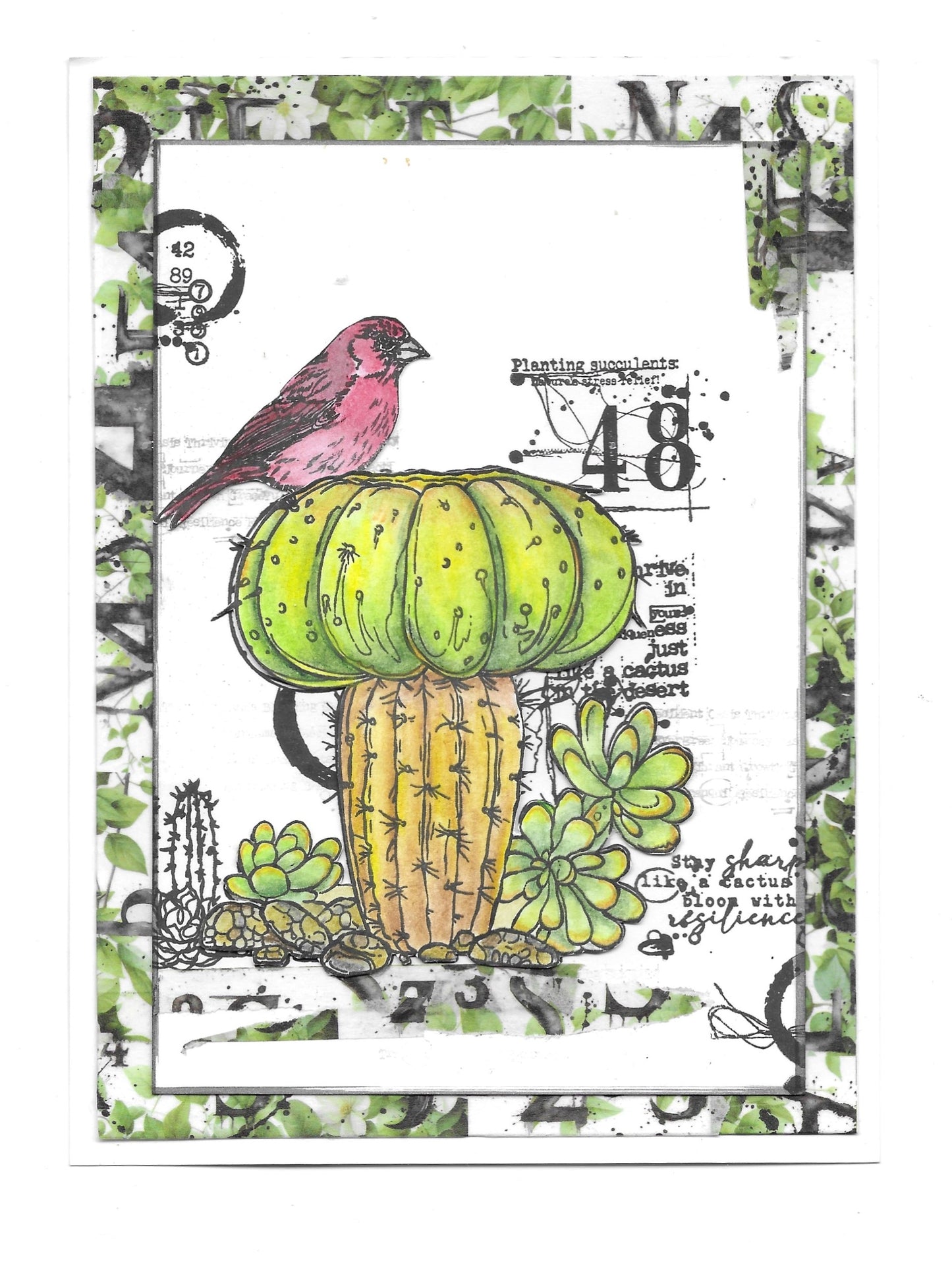 #1073 - A6 Stamp Set - Botanical Bliss