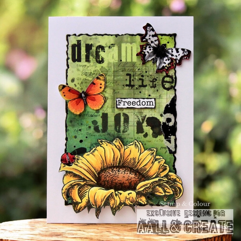 Inkblot Meadow Design Paper & Pollen Drift Ephemera Bundle
