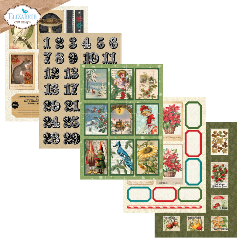 Elizabeth Craft Designs Cozy Comfort A5 Patterned Cardstock Everyday Ephemera 3 by Everyday Memories