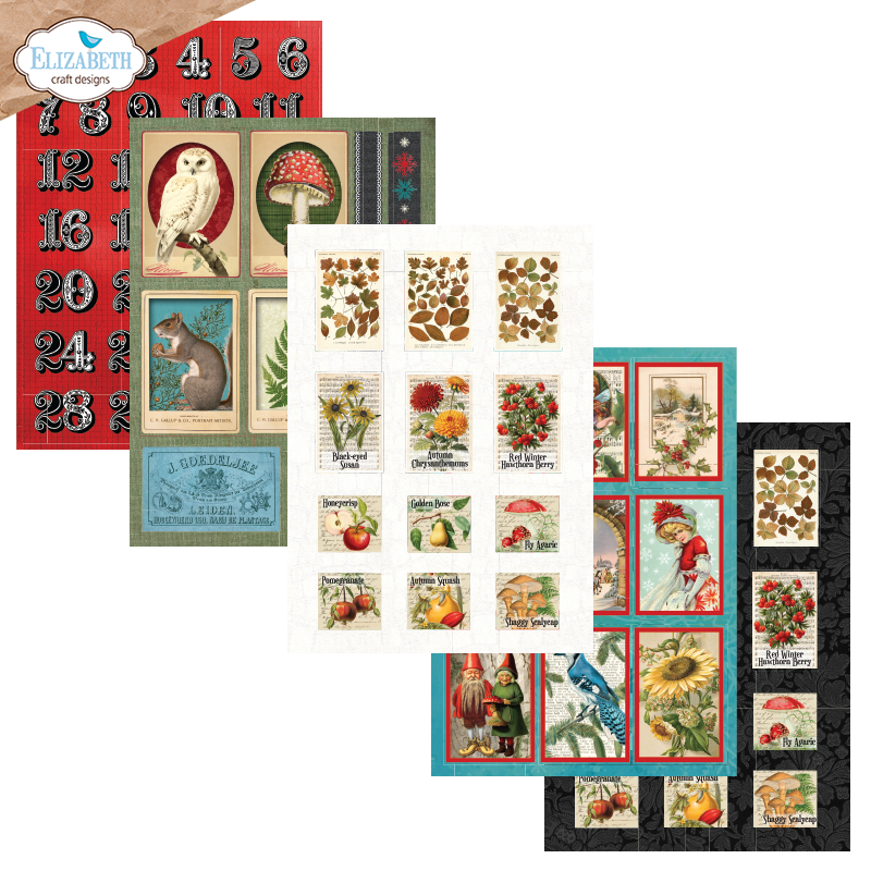 Elizabeth Craft Designs Cozy Comfort A5 Patterned Cardstock Everyday Ephemera 3 by Everyday Memories