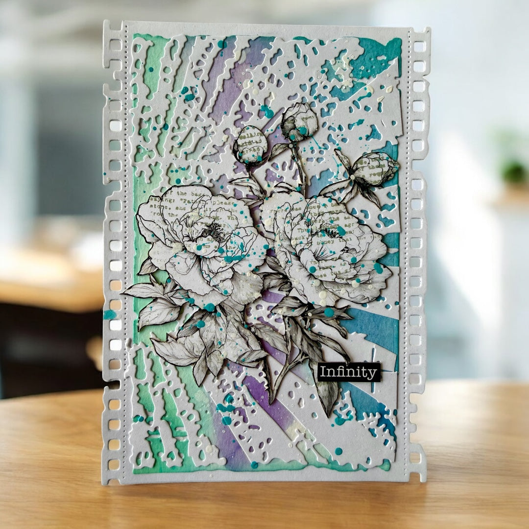 February 2026 Complete Collection