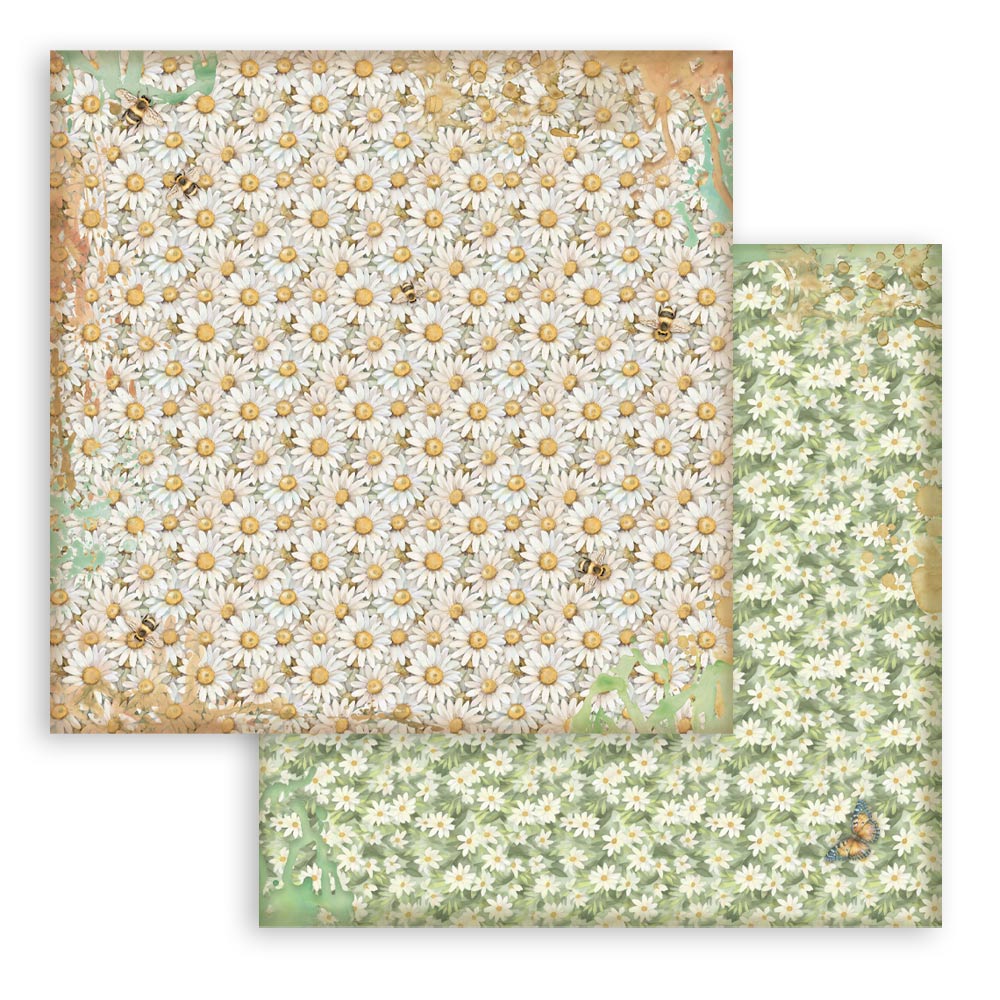 Stamperia Daisy Art 12x12 Inch Paper Pack Maxi Background Selection