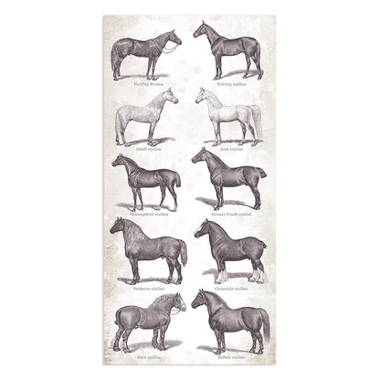 Stamperia Collectables 10 sheets 15 x 30.5 cm (6 x 12) Romantic Horses