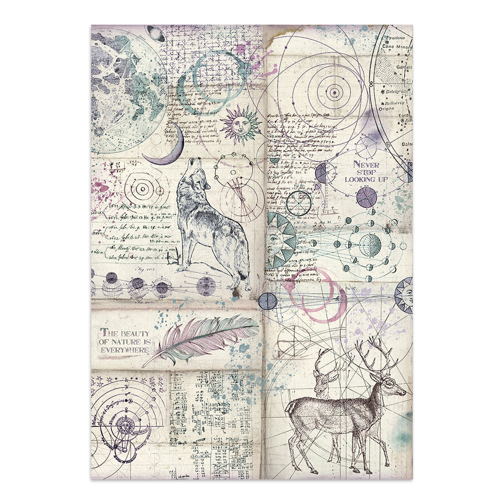 Stamperia Cosmos Junk Journal Stickers, Backgrounds, Cut-Outs by Cristina Radovan