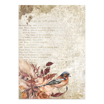 Stamperia Our Way Junk Journal Stickers, Backgrounds, Cut-Outs
