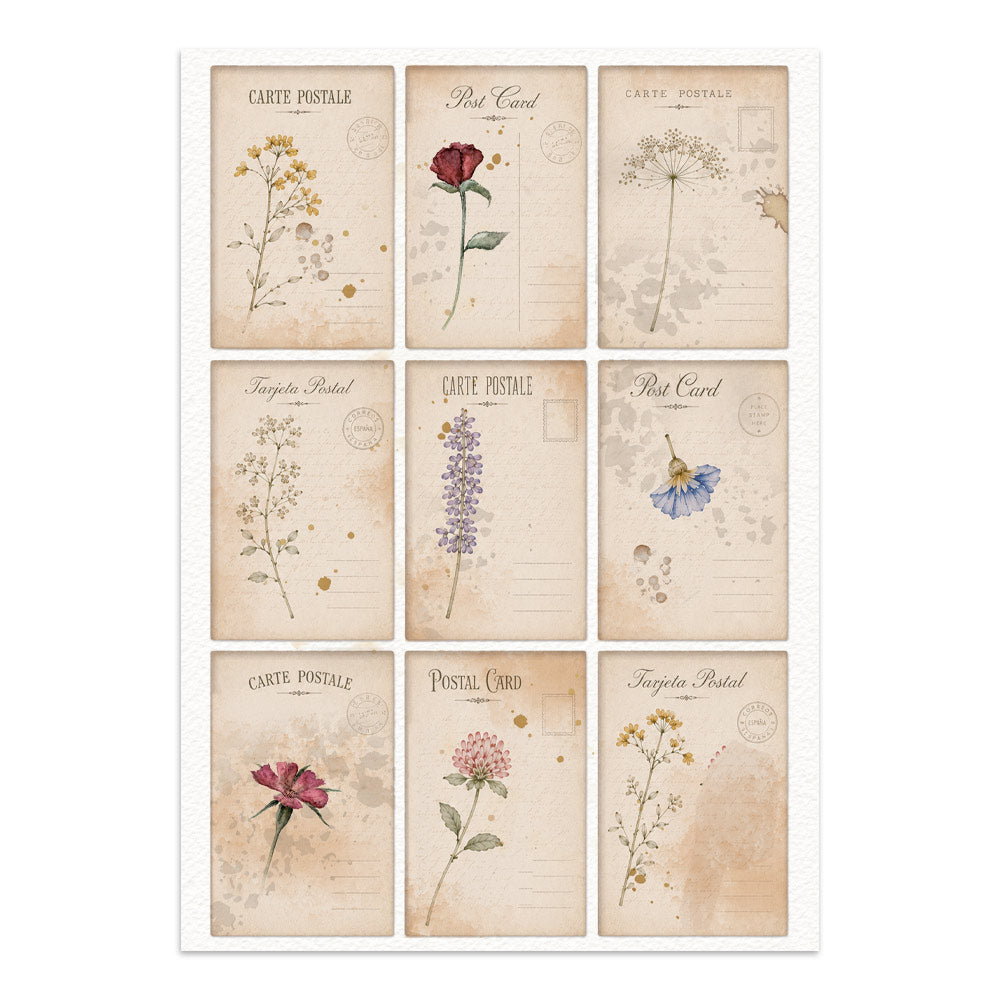 Stamperia Flowers and Poems Junk Journal Stickers, Backgrounds, Cut-Outs