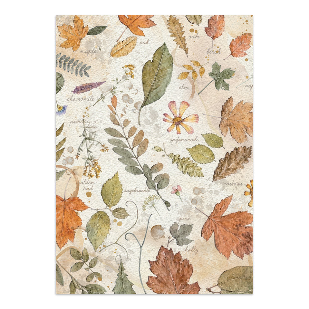 Stamperia Flowers and Poems Junk Journal Stickers, Backgrounds, Cut-Outs