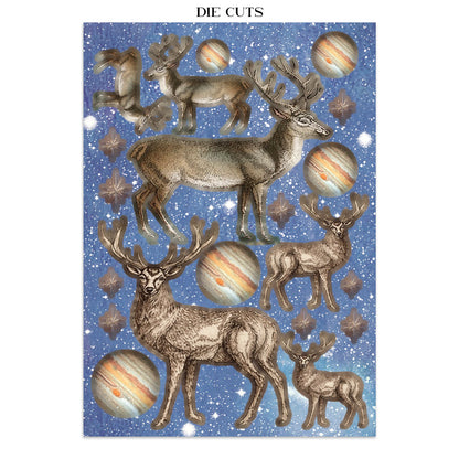 Stamperia Cosmos Junk Journal A5 Focus Points by Cristina Radovan