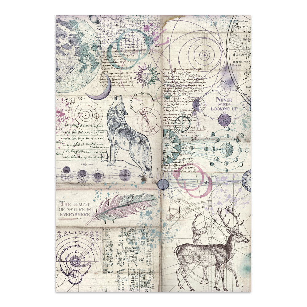 Stamperia Cosmos Junk Journal A5 Focus Points by Cristina Radovan