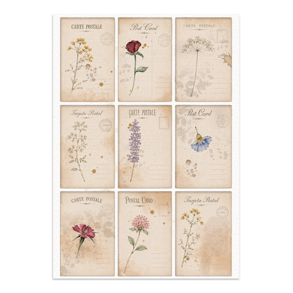 Stamperia Flowers and Poems Junk Journal A5 Focus Points
