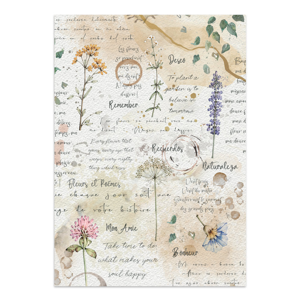Stamperia Flowers and Poems Junk Journal A5 Focus Points