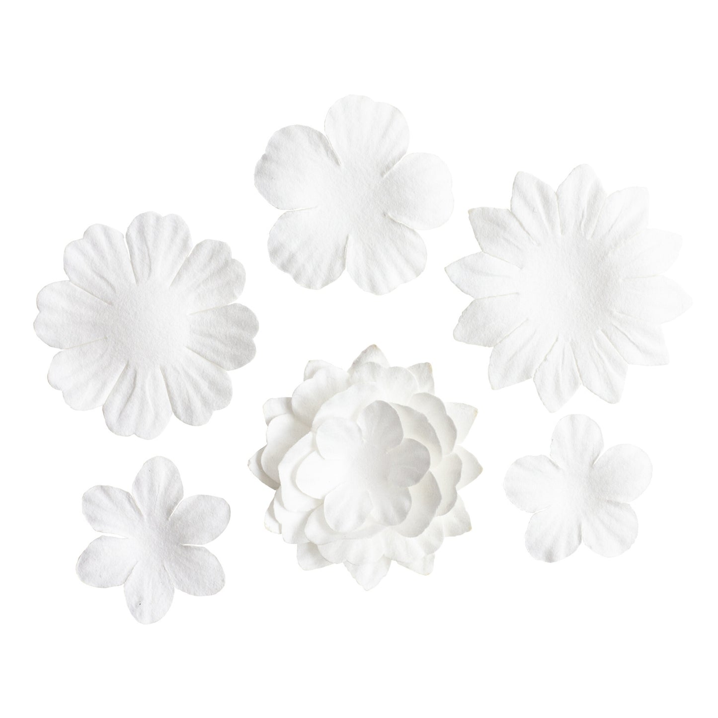 Studio Light White Essentials Paper Flowers (25pcs)