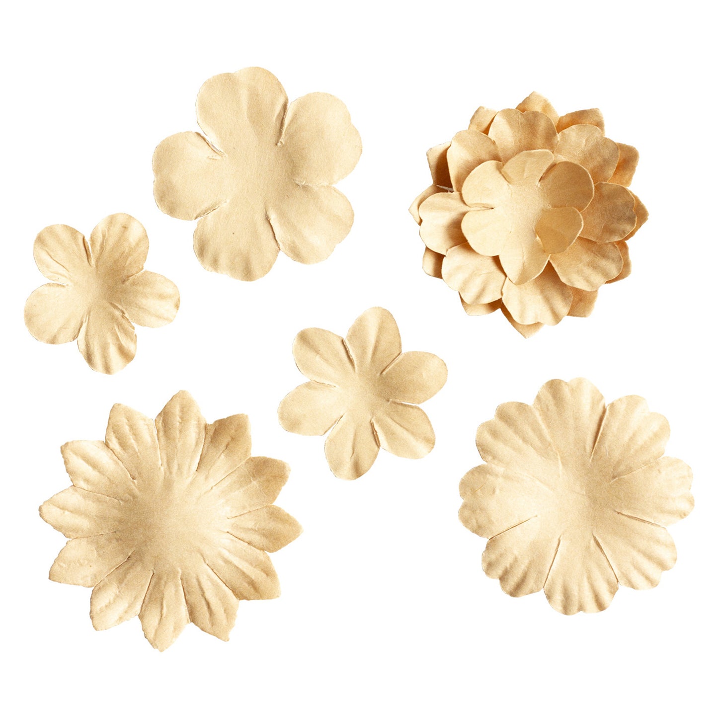 Studio Light Kraft Essentials Paper Flowers (5pcs)