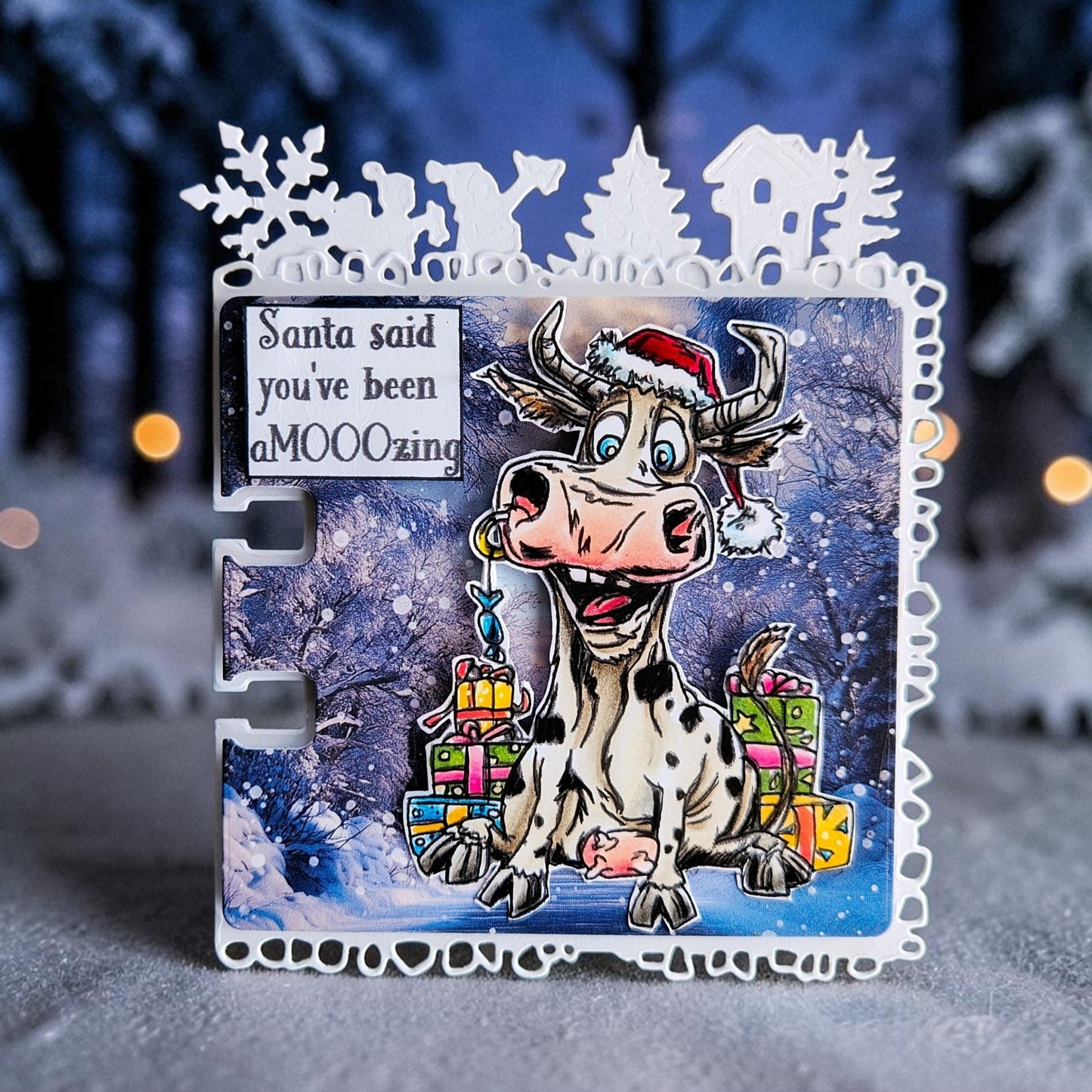 August 2026 Christmas Complete Collection + Free Poster & Bio Cards (Save £30)