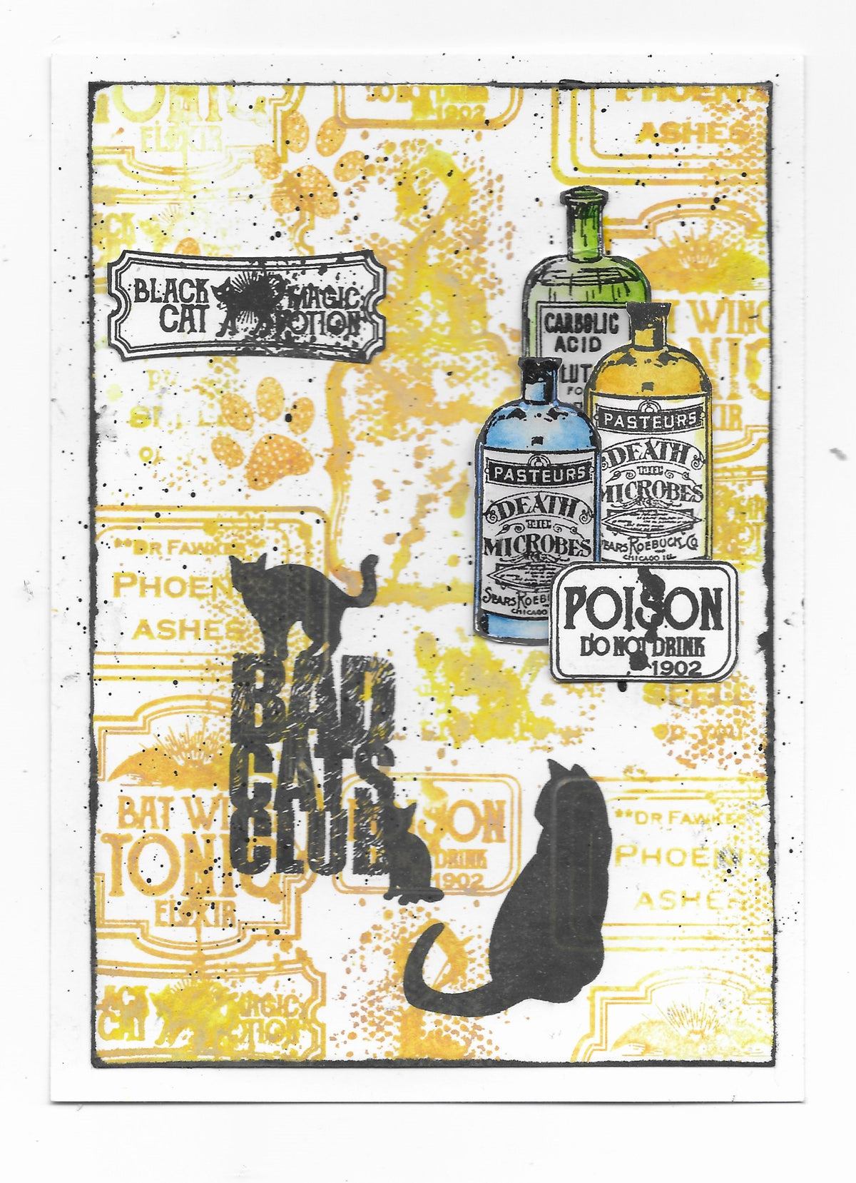 TP-793 - A5 Clear Stamp Set - Bad Cats Club