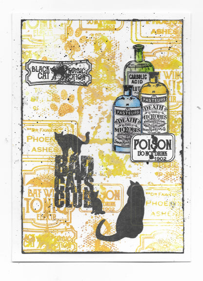 TP-793 - A5 Clear Stamp Set - Bad Cats Club