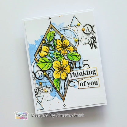 TEXT{ures} Watercolour Splash Halftone 6in x 8in Clear Stamp Set