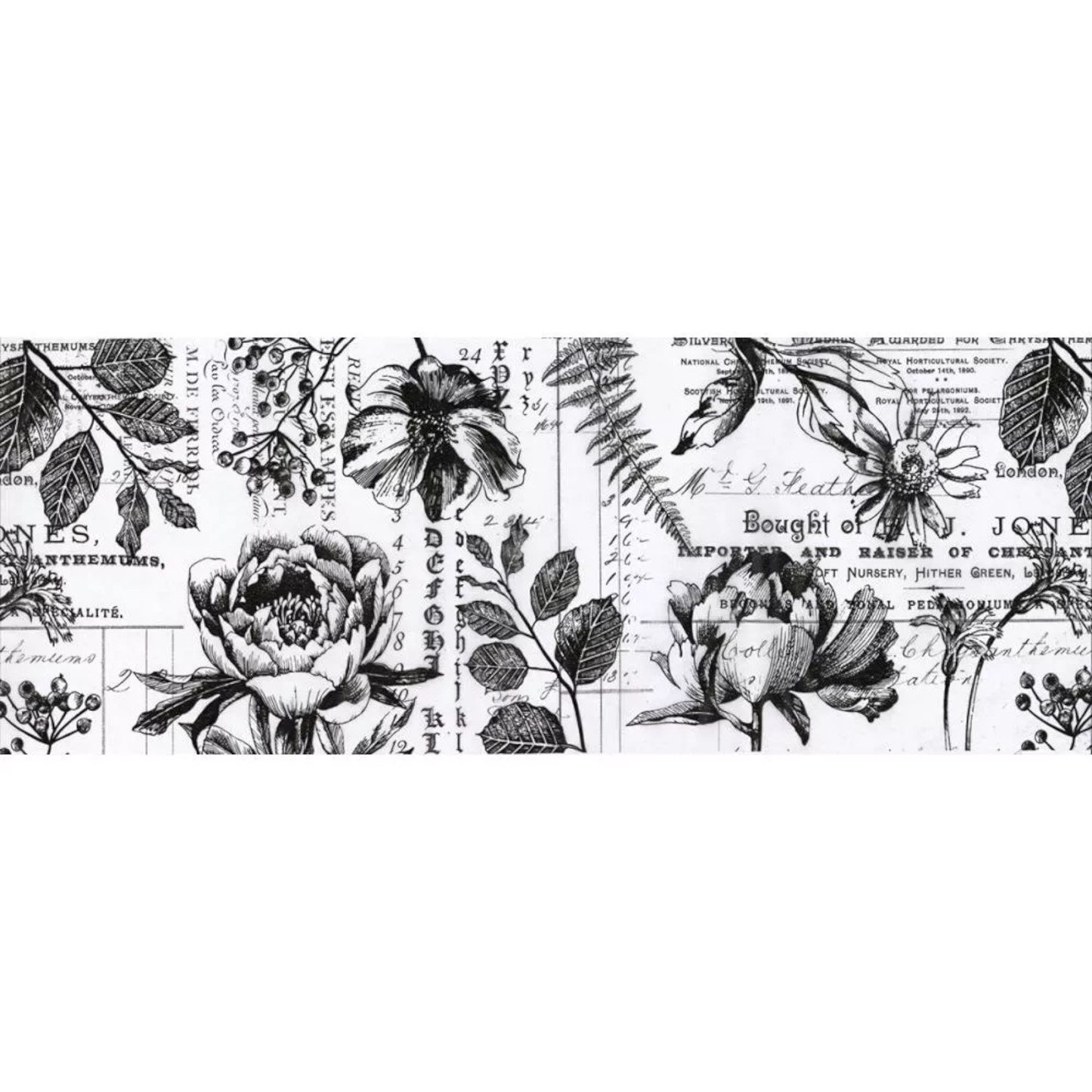 Idea-ology Tim Holtz Collage Paper 6"x6yds Botanical