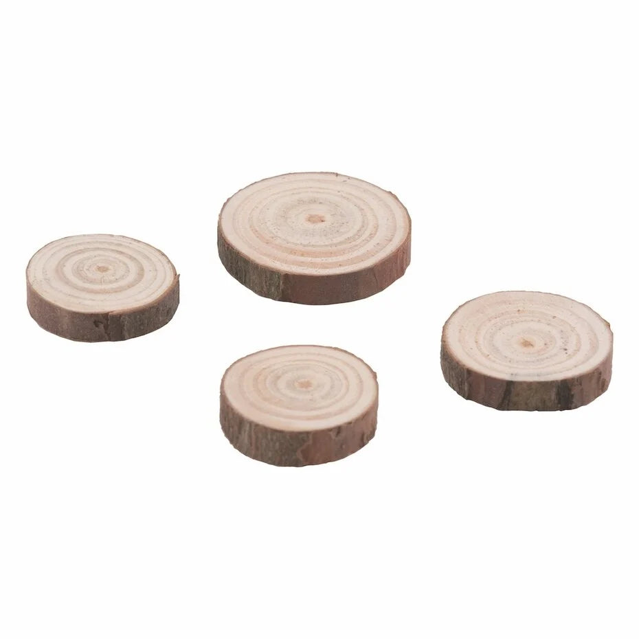 Idea-ology Tim Holtz Wood Slices (20pcs)