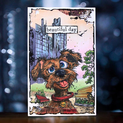 #1269 - A6 Stamp Set - Skyline Sniffs