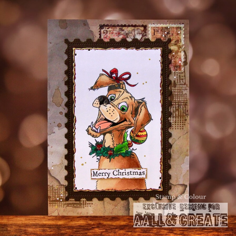 August 2025 - Christmas Complete Collection