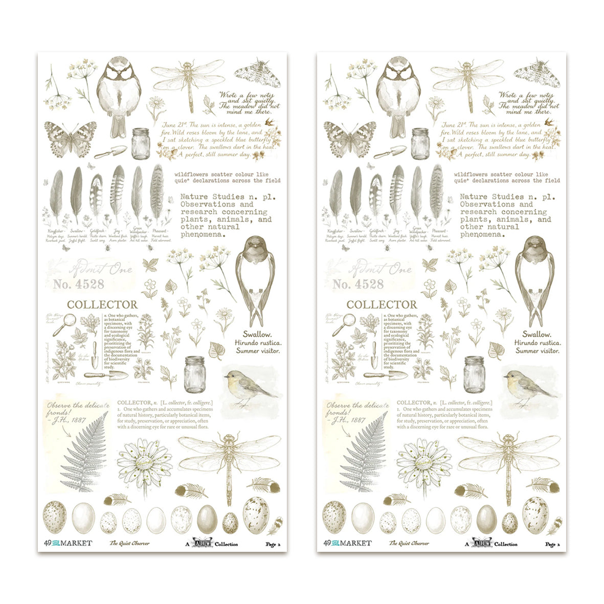 49 And Market The Quiet Observer 6x12 Inch Essential Rub-on Transfer Set by Arthouse Whimsy