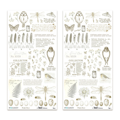 49 And Market The Quiet Observer 6x12 Inch Essential Rub-on Transfer Set by Arthouse Whimsy