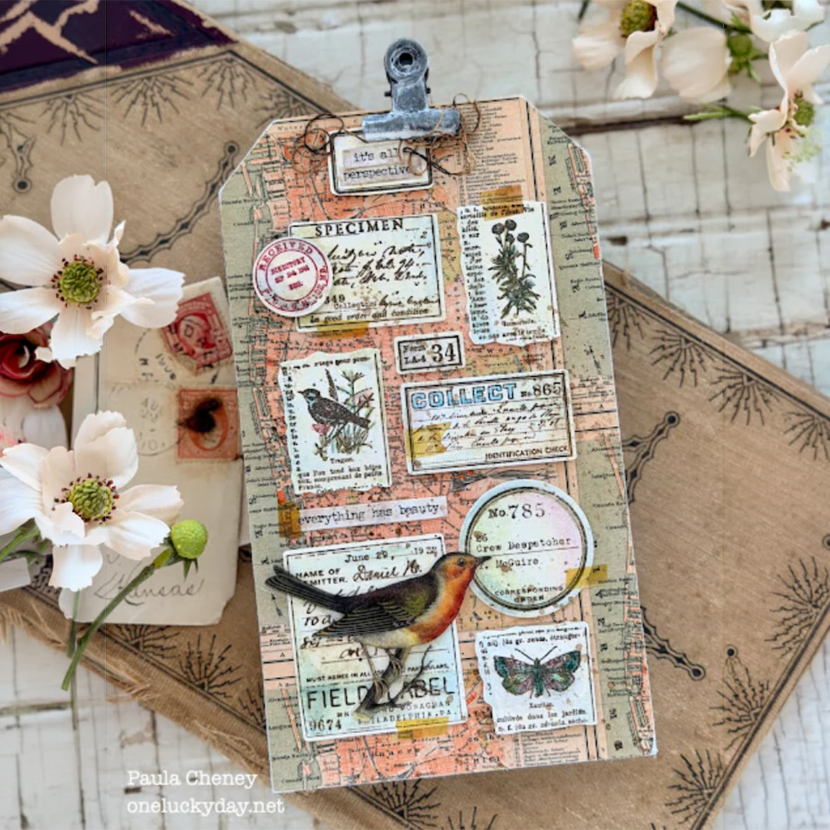 Tim Holtz Idea-ology Palette Collection: Orange 12 x 12
