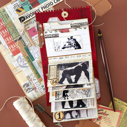 Spellbinders Turn the Page Complete Collection (Save £32)