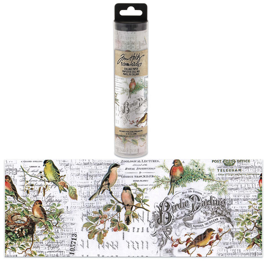 Idea-ology Tim Holtz Collage Paper 6"x6yds - Aviary