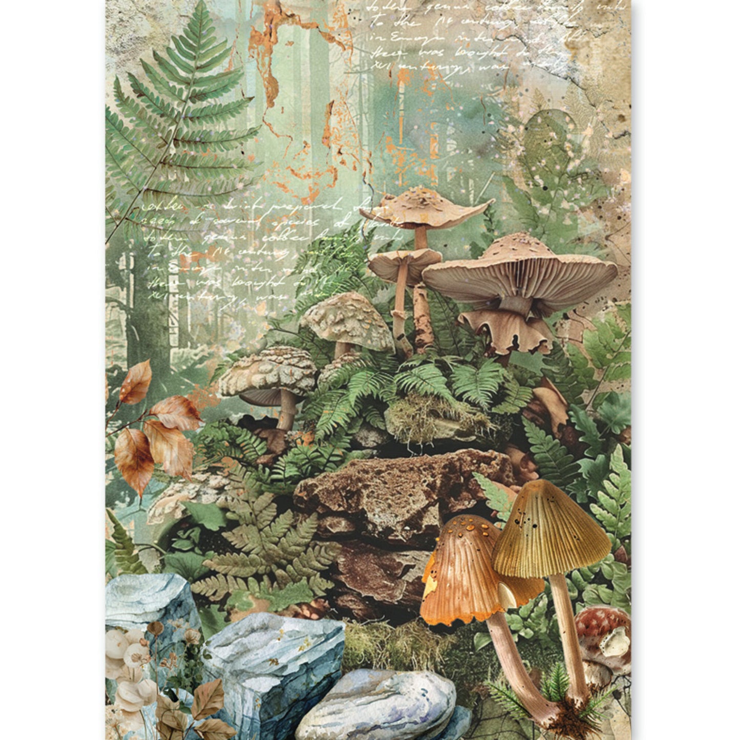 Ciao Bella The Nature Journal A5 Rice Paper Mixed (8pcs)