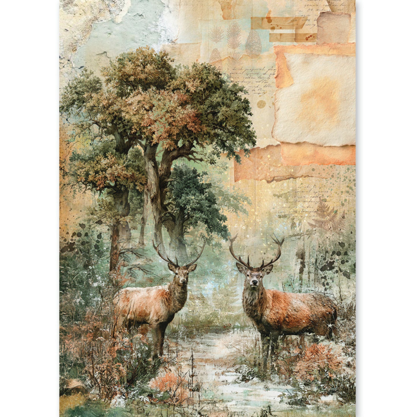 Ciao Bella The Nature Journal A5 Rice Paper Mixed (8pcs)