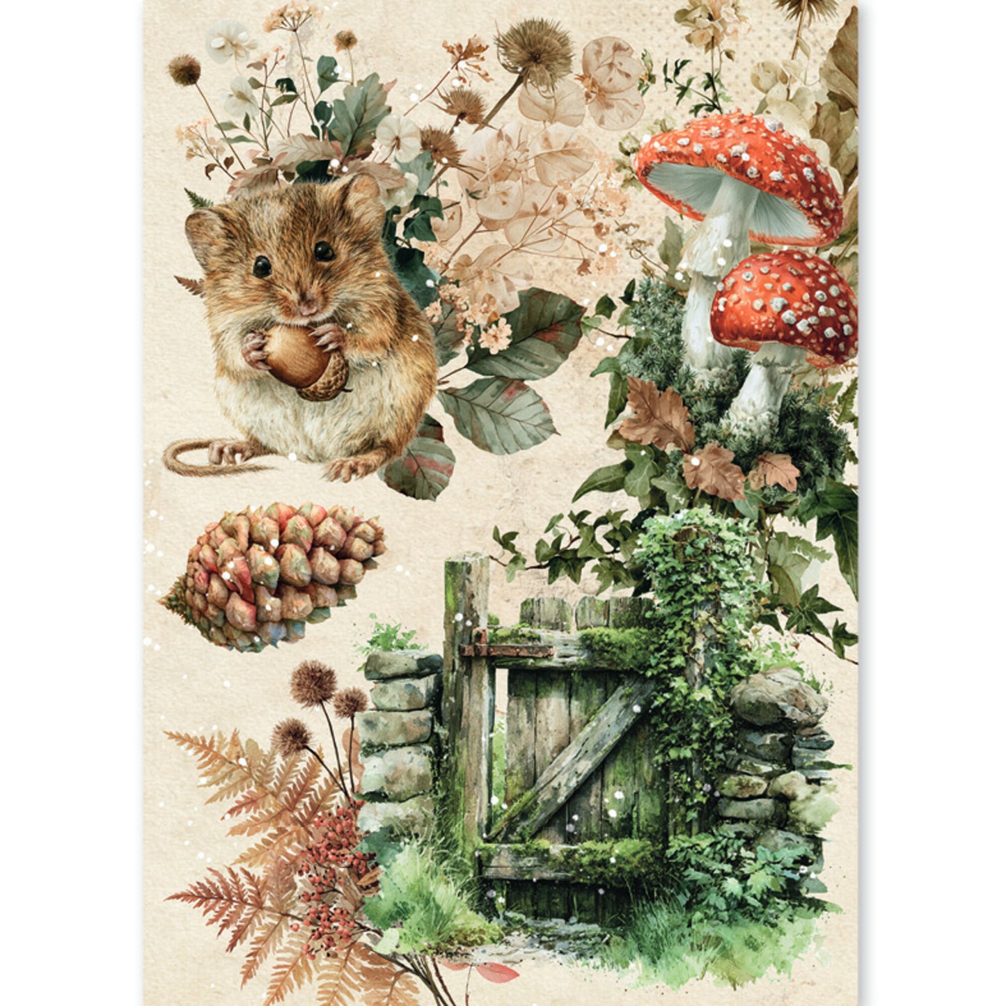 Ciao Bella The Nature Journal A5 Rice Paper Mixed (8pcs)